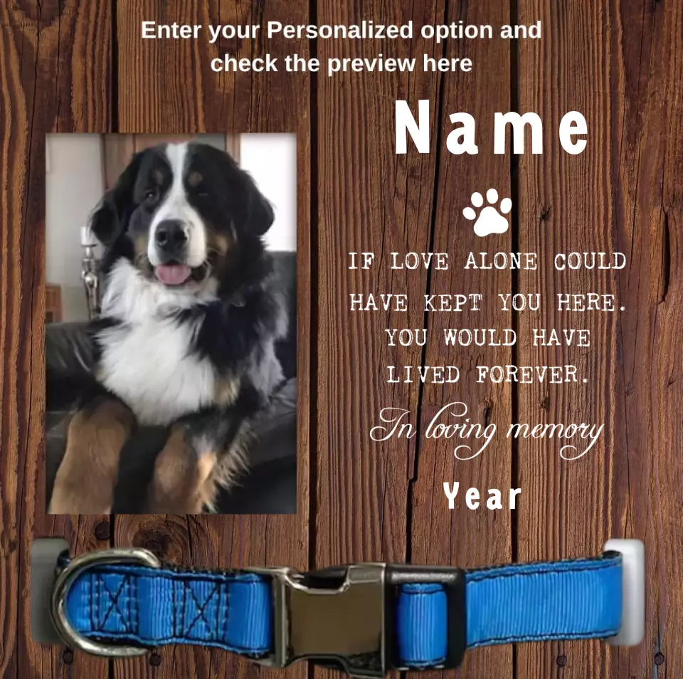 Custom Memorial Pet Collar With Photo, Pet Sympathy Gift, Dog Memorial Frame For Loss Of Dog, Memorial Wood Frame With Collar Holder 1725656479