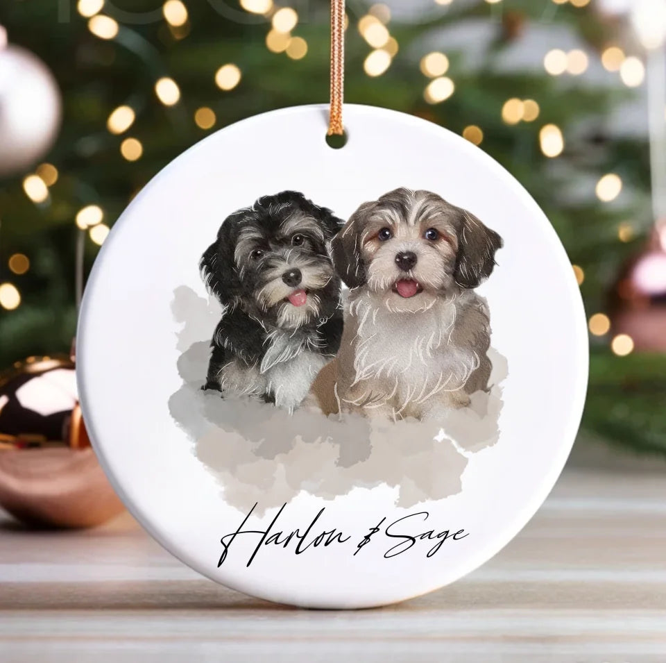 Custom Pet Ornament Dog Portrait Hand Drawn Ceramic Ornament Dog Personalized Pet Ornament With Name Dog Memorial Gift Cat Mom Gift ON8046