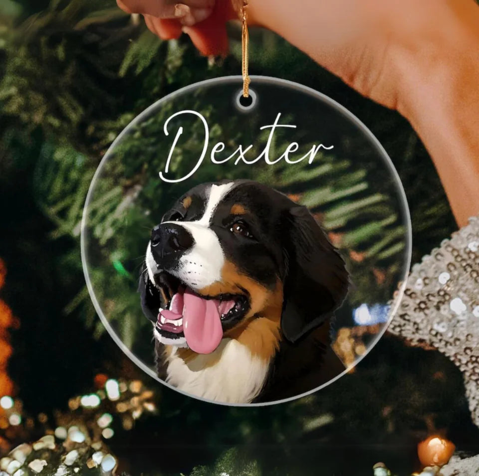 Personalized Pet Christmas Ornament,Custom Dog Ornament,Dog Portrait Hand Drawn Acrylic Ornament,Gifts for Pet Lovers,Dog Memorial Gift ON63TH