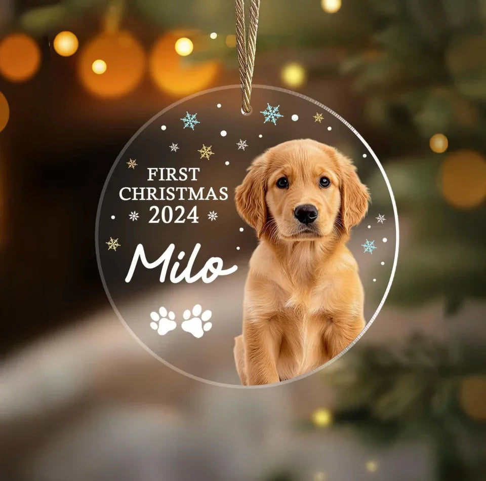 il_fullxfull.6354195282_3y24