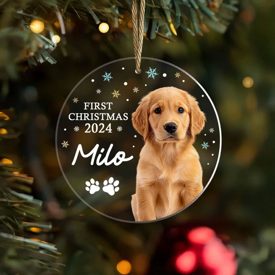 il_fullxfull.6402262843_3afm