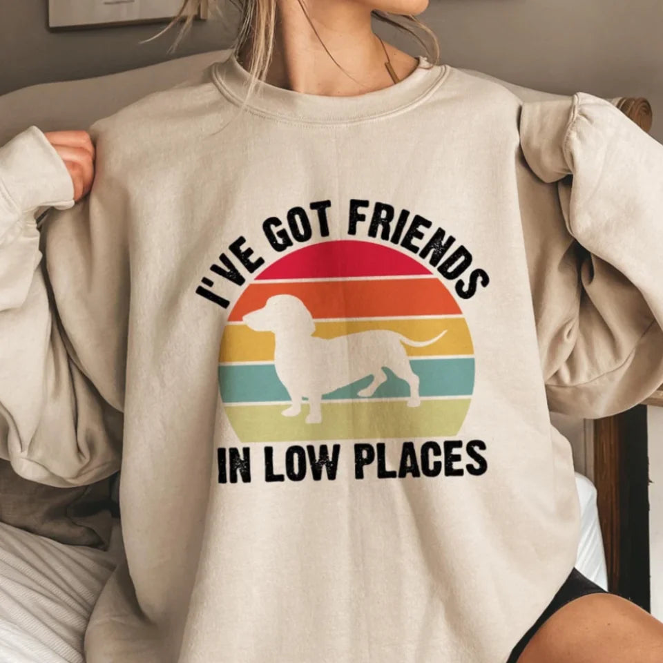 I've Got Friends In Low Places Sweatshirt, Retro Shirt, Vintage T-shirt, Funny Dachshund Shirt, Colorful Dachshund Shirt, Friends Sweatshirt T236