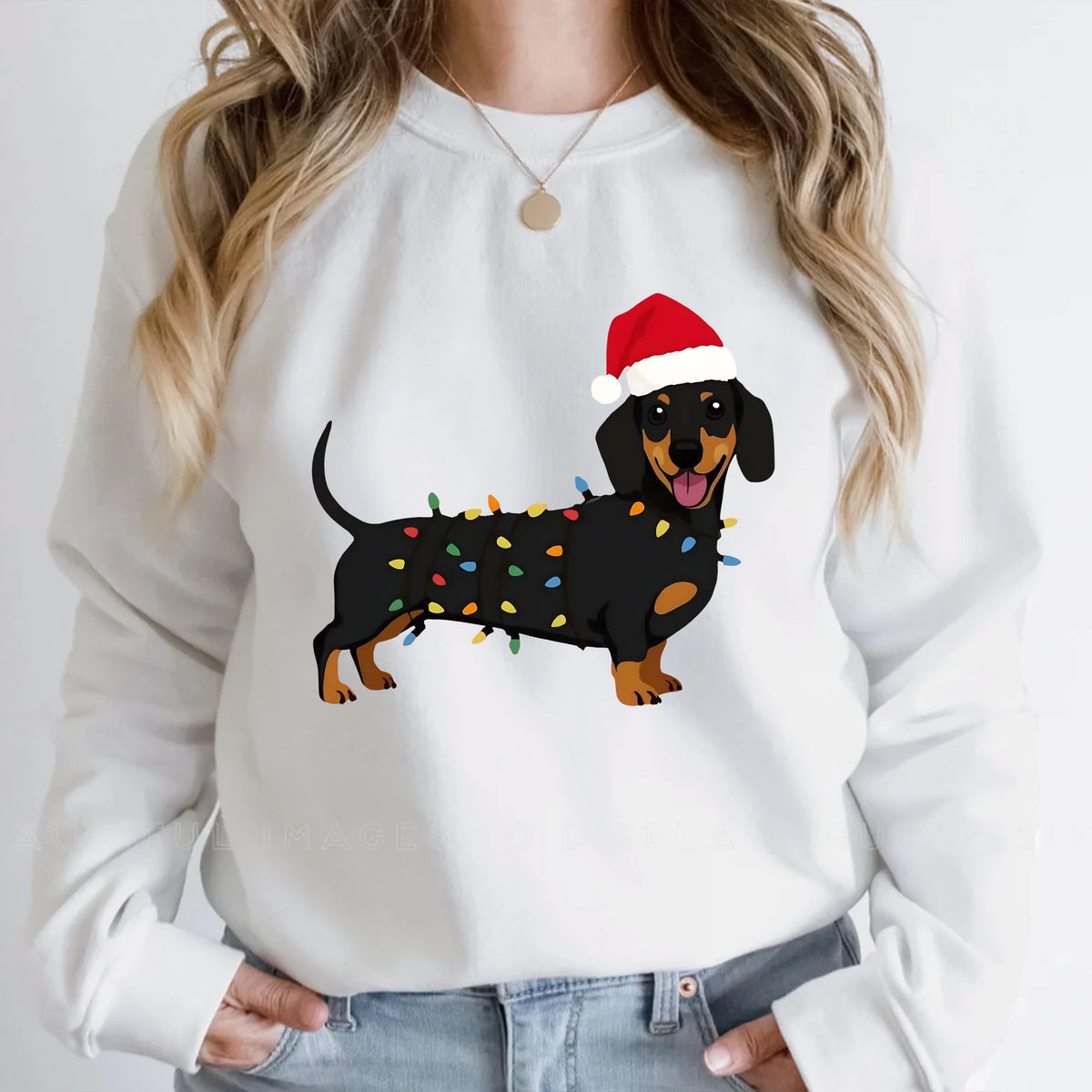 Dachshund Christmas Sweatshirt, Doxie Dog Lover Gift, Cute Xmas Doxie Sweater, Dachshund Mom, Cute Wiener Dog, Holiday Doxie Sweatshirt